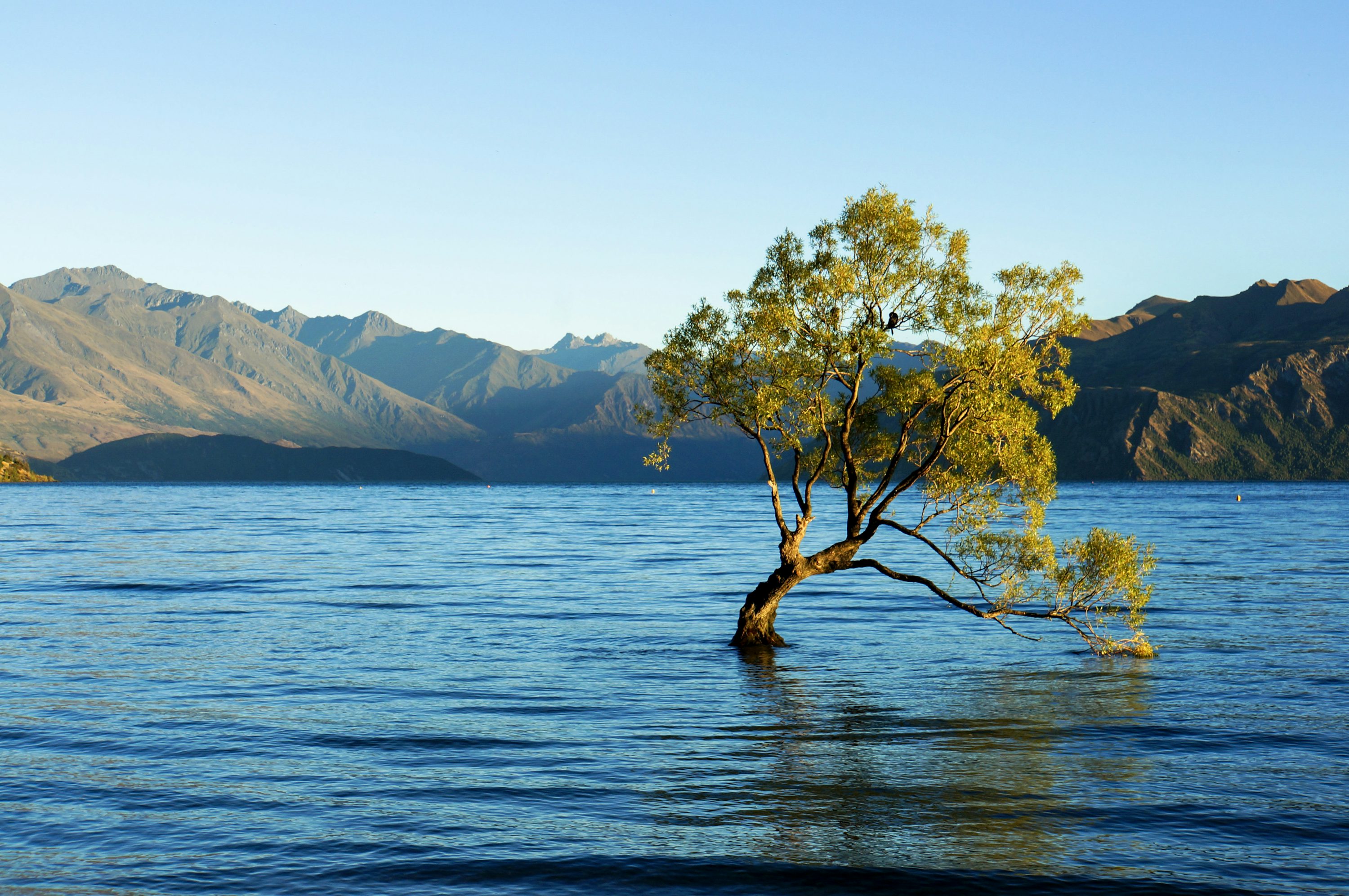Wanaka Kiwi Holiday Park